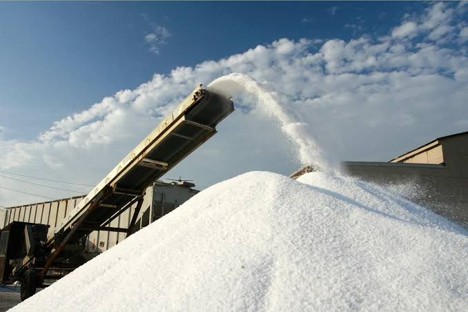 Kayalpattinam Salt Company